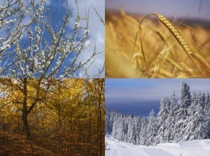 shutterstock_149442527